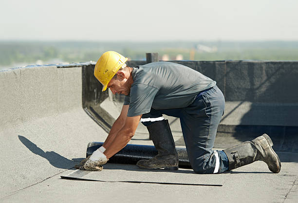 Best Specialized Insulation Services in Monroe, WA