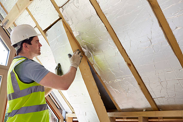 Types of Insulation We Offer in Monroe, WA