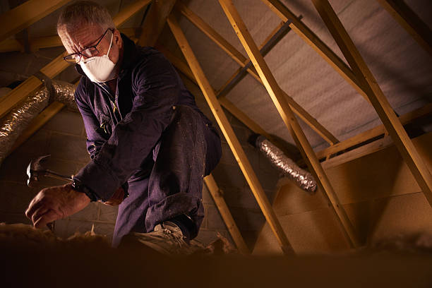 Best Spray Foam Insulation in Monroe, WA